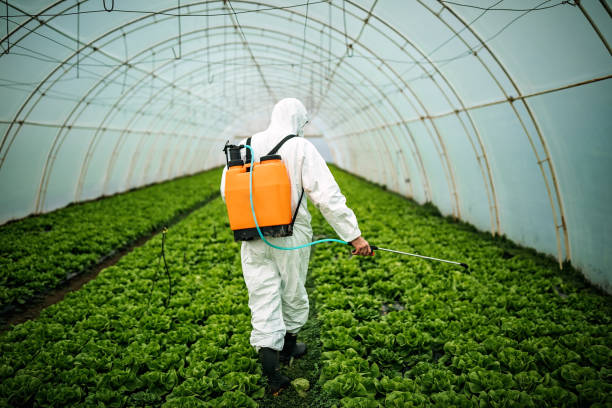 Best Best Pest Control Companies  in Old Bethpage, NY