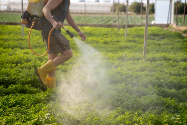 Best Pest Prevention Services  in Old Bethpage, NY