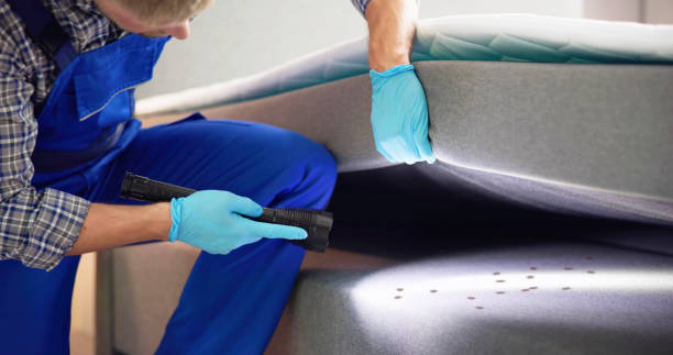 Best Wasp Removal Services  in Old Bethpage, NY