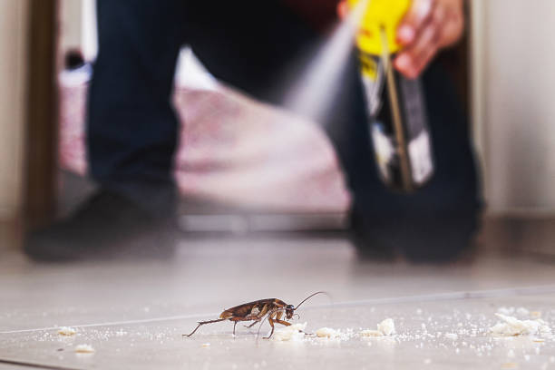 Best Exterminator Services  in Old Bethpage, NY