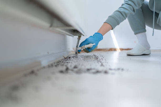 Reliable Old Bethpage, NY Pest Control Solutions