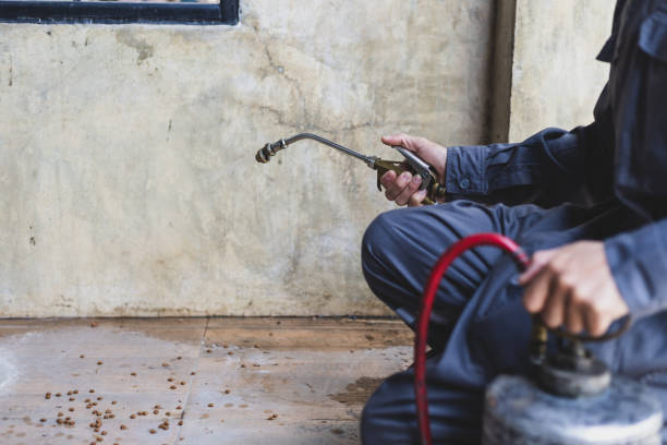Best Best Pest Control Companies  in Old Bethpage, NY
